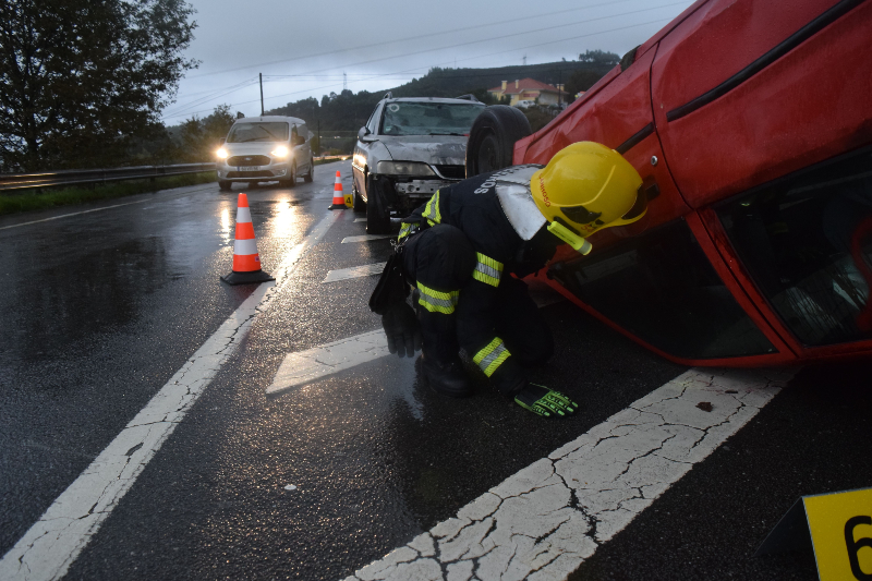Head-On Collision Liability in Tennessee